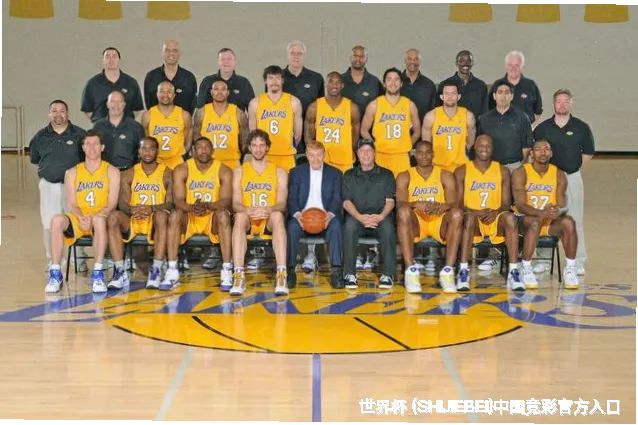 始于热爱，成于专业